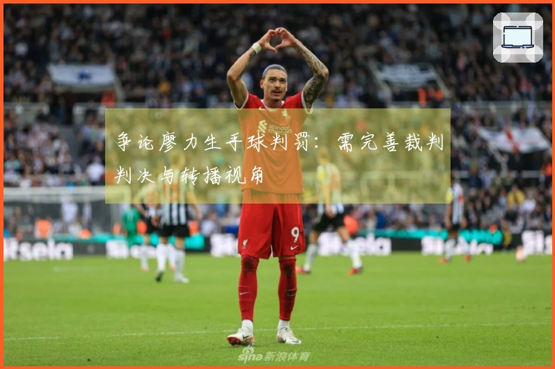 争论廖力生手球判罚：需完善裁判判决与转播视角